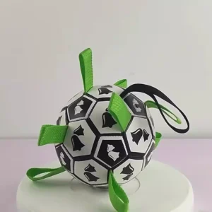 Interactive Rope Dog Football Toy
